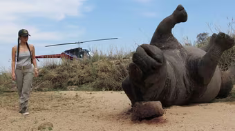 "Bống" Hồng Nhung sốc nặng khi thấy tê giác bị giết hại, cưa trộm sừng