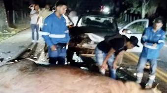 Hà mã của trùm ma túy khét tiếng Pablo Escobar bị ô tô tông chết