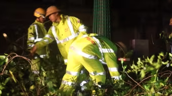 Nghệ An: Lực lượng CSGT xuyên đêm dọn dẹp cây đổ sau bão