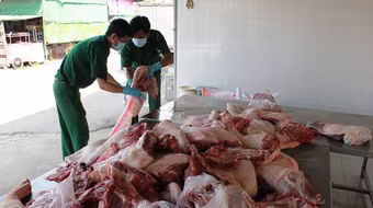 Hơn 300kg thịt “bẩn” đi taxi vào TP.HCM