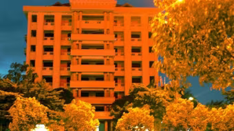 Đi công tác, tổng giám đốc bị mất trộm hơn nửa tỷ đồng