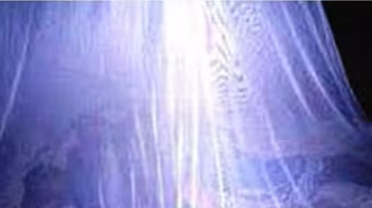 Bắt giữ nhóm "ma nhớt" rạch mùng ở miền Tây