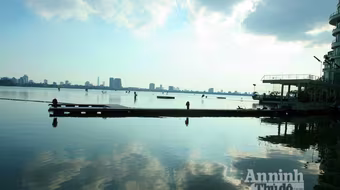 Lạ kỳ cây thị nghìn tuổi trên vùng Thất Tinh   