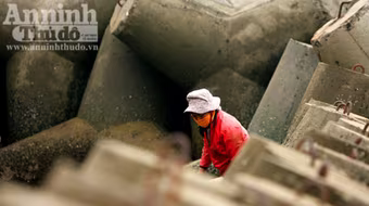 Mưu sinh trên vùng biển lạnh