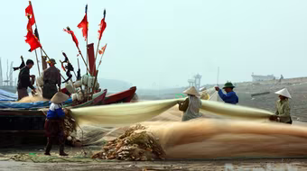 Tết trúng lớn, nếu gặp đàn cá mai