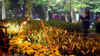 "Vùng cấm" của phố hoa