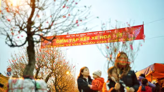 Ngàn hoa khoe sắc dưới ánh đèn