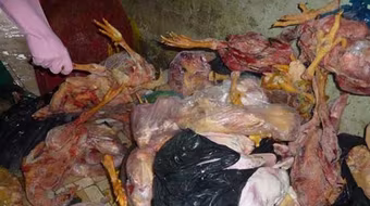 Buôn hàng lậu bị phát hiện bỏ của chạy lấy người