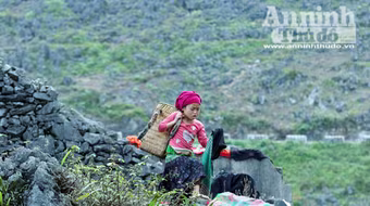 Những đôi tay bé bỏng gọi nhịp xuân bên đèo Mã Pì Lèng