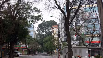 Tiếng chim thánh thót, nhẹ bước du xuân trong phố cổ Hà Nội