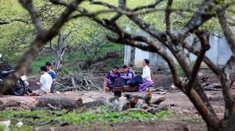 Vườn "địa đàng" mầm xuân đang nở cánh biếc