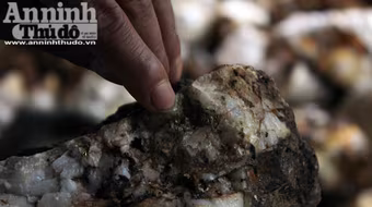 Đổ xô đi đào đá nghiền đãi sau khi có người nhặt được cả cục vàng