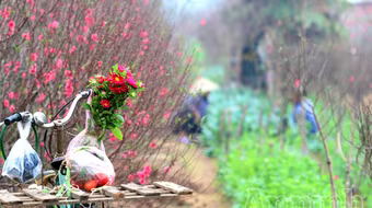 Những người mải mê tô cho xuân thêm thắm