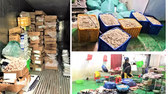 Phát hiện gần 10 tấn thực phẩm không rõ nguồn gốc