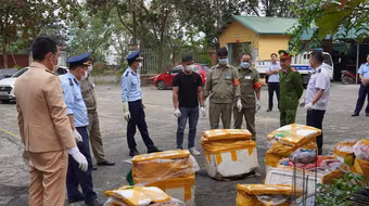 Phát hiện 1 tấn nội tạng động vật “bẩn”