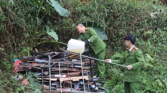 Thu giữ và tiêu hủy 304 khẩu súng cất giấu trái phép