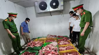 Phát hiện gần 1,8 tấn xương và thịt lợn bẩn