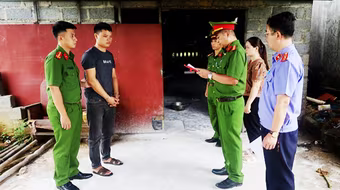 Thu gom lợn nhiễm bệnh rồi mang đi tiêu thụ