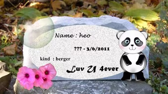 Kỳ 5: Độc đáo mộ dành cho thú cưng