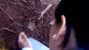 Đào được… tổ mối, thế là cuộc tìm mộ thành công!