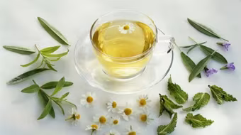 Trà từ phân gấu trúc