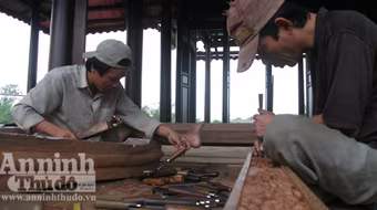 Khởi nguồn từ niềm đam mê cây cảnh, đồ cổ...