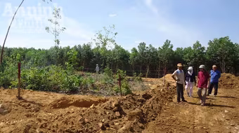 Đang điều tra việc bỗng chốc bị san lấp mồ mả tổ tiên