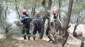 Liên tục cháy rừng phòng hộ ven biển, rừng tái sinh