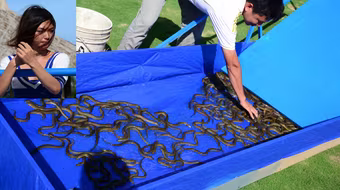 Thí sinh VJ Camp "gặp nạn" khi đối diện với MC Anh Tuấn