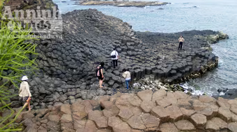 Chụp ảnh tết, trượt chân rơi xuống biển mất tích