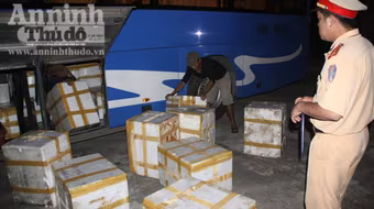 Phát hiện 1,2 tấn nội tạng động vật bốc mùi trên xe khách