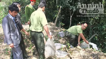 Thả nhiều động vật hoang dã về rừng