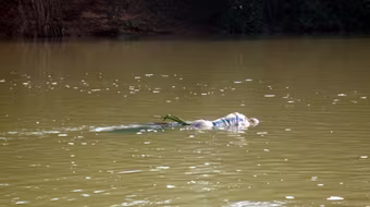 Tin của CTV Trịnh Nguyễn gửi