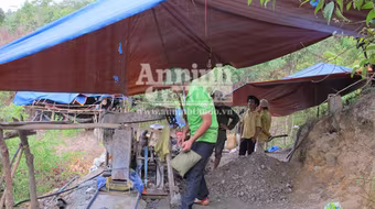 "Đột kích” bãi vàng trên đỉnh Cư Kuin