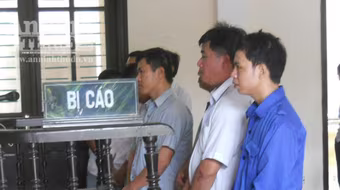 Xét xử phúc thẩm vụ lật xe chở gỗ lậu làm 10 người chết