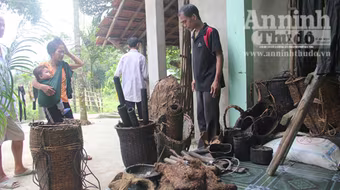 Cha con "người rừng" vẫn hoảng loạn đòi về sống trên ngọn cây