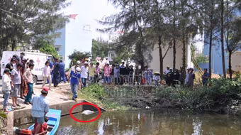 Phát hiện xác người đàn ông nổi trên rạch nước