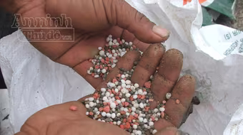 Phát hiện hơn 1,2 tấn phân bón giả ngay tại công ty cung ứng