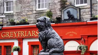 Greyfriars Bobby- chú chó trung thành của thành phố Edinburgh