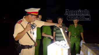 Phát hiện, thu giữ gần 800 kg chân, đuôi trâu không rõ nguồn gốc