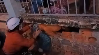 [Tin nhanh tối 2-7-2021] Hàng trăm người chui lỗ, vượt rào trốn khỏi bệnh viện