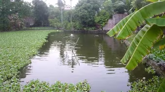 [Tin nhanh tối 14-8-2021] Hà Nội: Bắt giữ 1 nghi phạm vụ phát hiện thi thể trong bao tải dưới ao