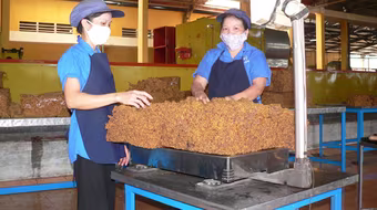 Không đồng tình tăng tuổi nghỉ hưu