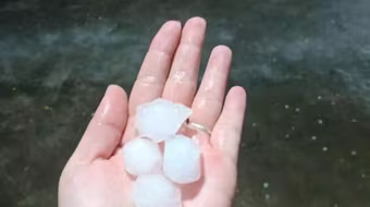 Mưa giông cực lớn, Hà Nội xuất hiện mưa đá, cây cối gãy đổ la liệt