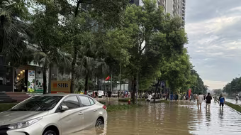 Thủ tục cấp lại biển số xe nhanh nhất khi xe ngập nước bị hỏng, mất biển số 