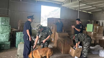 Bắt giữ, xử lý gần 12.000 vụ buôn lậu, gian lận thương mại trong 8 tháng đầu năm