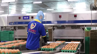 Chủ thương hiệu trứng Ba Huân bị cưỡng chế dừng làm thủ tục hải quan do nợ thuế