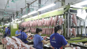 Liên tiếp tăng trần, cổ phiếu Giầy Thượng Đình gấp 2,5 lần chỉ sau 7 phiên