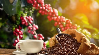 Sửa Luật Thuế giá trị gia tăng, tháo gỡ khó khăn hoàn thuế cho sản phẩm nông, thủy sản