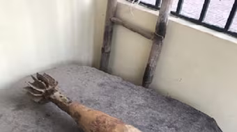 Đi đánh lưới ở sông Hồng, cụ ông 81 tuổi nhặt được quả đạn pháo cối